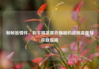 帧帧皆情怀，和平精英黑色眼镜的战场温度与获取指南