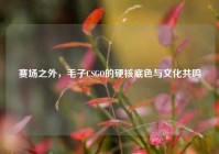 赛场之外，毛子CSGO的硬核底色与文化共鸣
