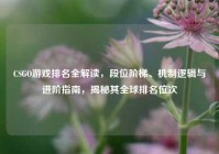 CSGO游戏排名全解读，段位阶梯、机制逻辑与进阶指南，揭秘其全球排名位次