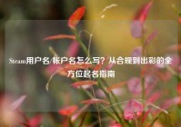 Steam用户名/帐户名怎么写？从合规到出彩的全方位起名指南