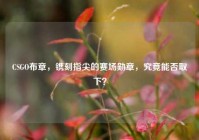 CSGO布章，镌刻指尖的赛场勋章，究竟能否取下？