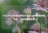 PUBG/PUBGM语音包获取全攻略，解锁专属梗系语音，让战场趣味拉满