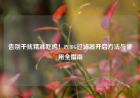 告别干扰精准吃鸡！PUBG过滤器开启方法与使用全指南