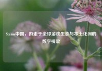 Steam中国，游走于全球游戏生态与本土化间的数字桥梁