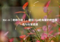 MAC-10「咆哮小鼠」，藏在CSGO枪身里的野性传奇与玩家浪漫