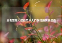 王者荣耀大招使用从入门到精通实战指南
