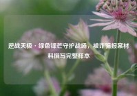 逆战天极·绿色锋芒守护战场，被诈骗报案材料撰写完整样本
