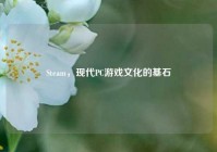 Steam，现代PC游戏文化的基石