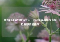 从歪门邪道到赛场共识，CSGO歪屏幕操作玄学及偏移调回指南