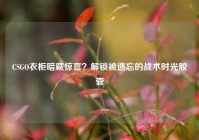 CSGO衣柜暗藏惊喜？解锁被遗忘的战术时光胶囊