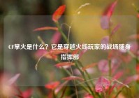 CF掌火是什么？它是穿越火线玩家的战场随身指挥部