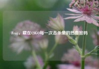 Frag，藏在CSGO每一次击杀里的热血密码