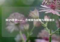 挂VPN登录Steam，合规操作指南与风险提示