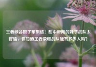 王者峡谷娘子军集结！甜中带刚的妹子战队太好磕，你知道王者荣耀战队能有多少人吗？