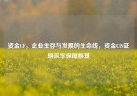 资金CF，企业生存与发展的生命线，资金CIS证明筑牢保障根基