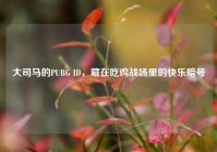大司马的PUBG ID，藏在吃鸡战场里的快乐暗号