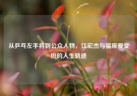 从乒乓左手将到公众人物，江宏杰与福原爱交织的人生轨迹