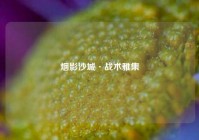 烟影沙城·战术雅集