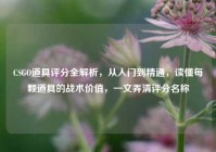 CSGO道具评分全解析，从入门到精通，读懂每颗道具的战术价值，一文弄清评分名称