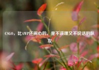 CSGO，比AWP还闹心的，是不讲理又不说话的队友