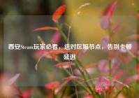 西安Steam玩家必看，选对区服节点，告别卡顿延迟