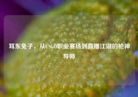 耳东兔子，从CSGO职业赛场到直播江湖的枪神导师
