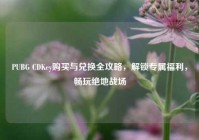 PUBG CDKey购买与兑换全攻略，解锁专属福利，畅玩绝地战场