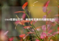 CSGO竞猜钻石币，解锁电竞博弈的璀璨密码