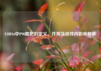 COD16中P90握把的定义、作用及游戏内影响解析