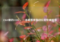 CSGO里的123987，一串藏着青春回忆的专属暗号