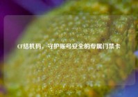 CF结机码，守护账号安全的专属门禁卡