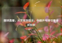 国球直播，从荧屏到指尖，中国乒乓球引爆全民狂欢