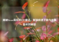 揭秘Steam背后的CDN魔法，解锁极速下载与流畅联机的秘密