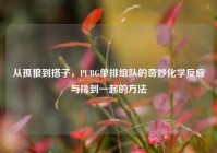 从孤狼到搭子，PUBG单排组队的奇妙化学反应与排到一起的方法