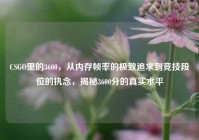 CSGO里的3600，从内存帧率的极致追求到竞技段位的执念，揭秘3600分的真实水平