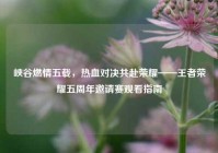 峡谷燃情五载，热血对决共赴荣耀——王者荣耀五周年邀请赛观看指南