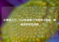 从零到入门，CSGO全场景CSV文件导入指南，解锁你的反恐战场