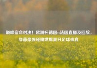 巅峰宿命对决！欧洲杯德国vs法国直播及回放，绿茵豪强碰撞燃爆夏日足球盛宴