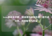 Steam申诉全攻略，精准填写申诉信息，提升成功率，找回账号与权益