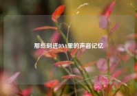 那些刻进DNA里的声音记忆