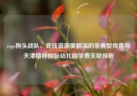 csgo狗头战队，竞技浪潮里翻滚的非典型传奇与天津格林国际幼儿园学费关联探析