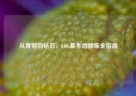 从青铜到钻石，LOL基本功修炼全指南