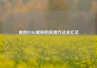 查找PUBG昵称的实用方法全汇总