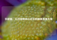 李赣骝，从召唤师峡谷走出的抽象直播先驱