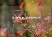 逆战硝烟里，我们从未独行