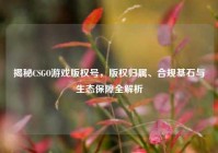 揭秘CSGO游戏版权号，版权归属、合规基石与生态保障全解析