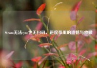 Steam无法sync也无扫码，进度条里的遗憾与救赎