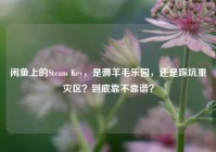 闲鱼上的Steam Key，是薅羊毛乐园，还是踩坑重灾区？到底靠不靠谱？