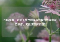 PUBG多开，游走于战术捷径与合规红线间的灰色操作，究竟该如何实现？
