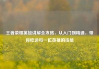 王者荣耀英雄讲解全攻略，从入门到精通，带你吃透每一位英雄的技能